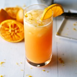 Salty Gator Cocktail - Recipe photo by newsouthfoodco