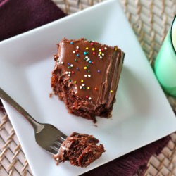 Chocolate Crazy Cake - Recipe photo by MrsSchwartzsKitchen