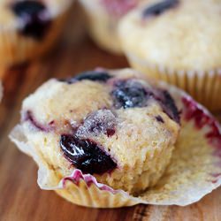 Sour Cherry Maple Muffins - Recipe photo by splashofsomething