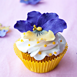 Pansy Cupcakes - Recipe photo by Cakewhiz