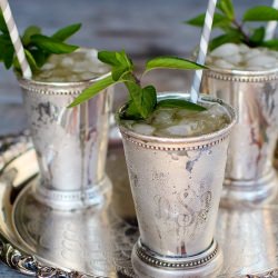Classic Kentucky Mint Julep - Recipe photo by camillestyles