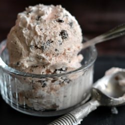 Roasted Rhubarb Ice Cream - Recipe photo by theviewfromgreatisland