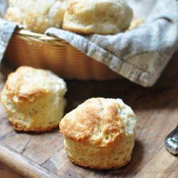 Southern Biscuits - Recipe photo by Ashley Brouwer