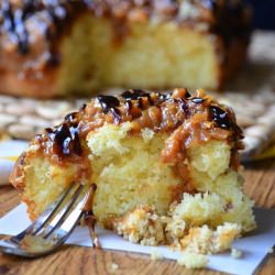 Samoas Poke Cake - Recipe photo by WillCookForSmiles