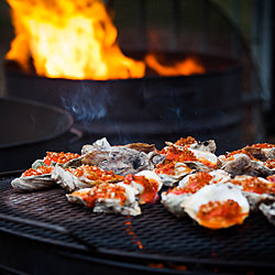Fire Roasted Oysters - Recipe photo by cookshootandeat