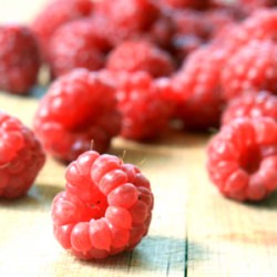 Fresh Raspberry Cordial - Recipe photo by grubdaily