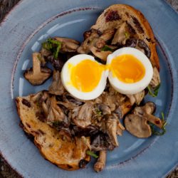 Creamy Mushrooms and Eggs - Recipe photo by eatlivetravelwrite