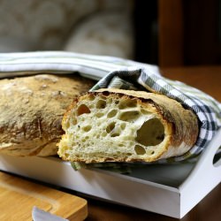 Ciabatta - Recipe photo by BeatriZ