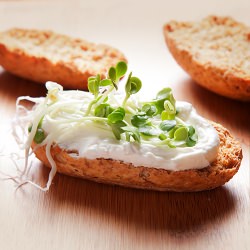 Germinate Sprouts - Recipe photo by amantesdelacocina