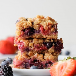Berry Medley Oatmeal Crumb Bars - Recipe photo by damndelicious