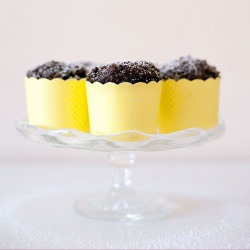 Chocolate Zucchini Muffins - Recipe photo by butcanshebake