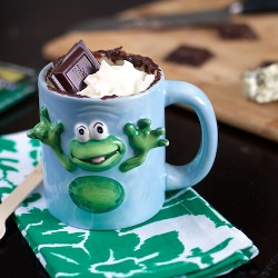 Mint Chocolate Chip Mug Cake - Recipe photo by livelovepasta