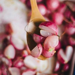 Mekice with Roasted Radish - Recipe photo by what should i eat for breakfast today