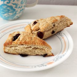 Cranberry Scones - Recipe photo by mzrichee