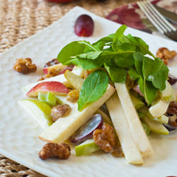 Waldorf Salad - Recipe photo by a family feast