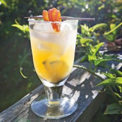Rangpur Lime Margarita - Recipe photo by GardenTherapy