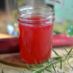Fresh Rhubarb Simple Syrup - Recipe photo by theviewfromgreatisland