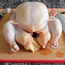 How to Divide a Chicken - Recipe photo by bboyer