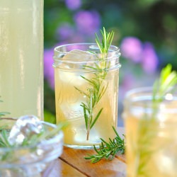 Probiotic Fermented Lemonade - Recipe photo by julesfood