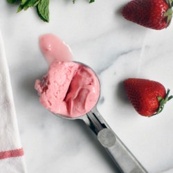 Mint and Berry Frozen Yogurt - Recipe photo by Turntable Kitchen
