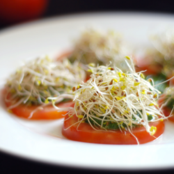 Tomato Hors d'oeuvres - Recipe photo by gabrielaoel