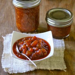 Rhubarb-Ginger Chutney - Recipe photo by Lizthechef