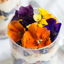 Edible Flowers with Granola Yogurt - Recipe photo by what should i eat for breakfast today