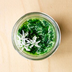 Wild Garlic Pesto - Recipe photo by irinawang