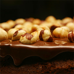 Torta Alla Gianduja (Nutella Cake) - Recipe photo by speedingturtle