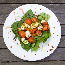 Caprese Spinach Salad - Recipe photo by Small Wallet Big Appetite