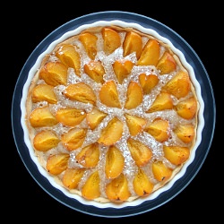 Apricot Tart - Recipe photo by mysanfranciscokitchen