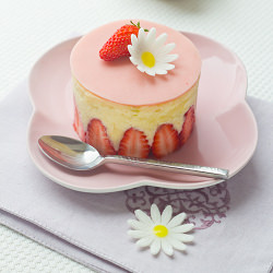 Japanese Fraisier - Recipe photo by Cuisine Addict