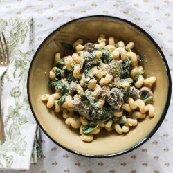 Cavatappi with Creamy Chevre Sauce - Recipe photo by neemomma