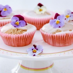 Rhubarb Fairy Cakes with Pansies - Recipe photo by Nicole Bremner