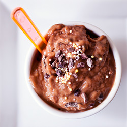 Vegan Chocolate Pumpkin Ice Cream - Recipe photo by calmmindbusybody