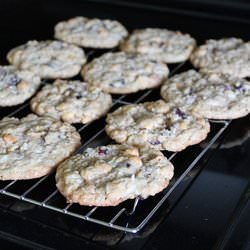 Cereal Cookies - Recipe photo by hiddenponies