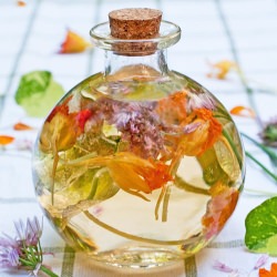 Nasturtium-Chive Vinegar - Recipe photo by nancy baggett-kitchenlane