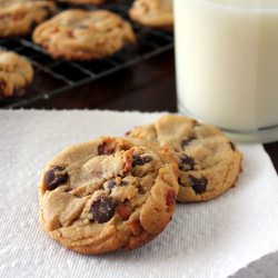 Pig Out Cookies - Recipe photo by kitchentrialanderror