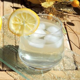 Elder Juice - Recipe photo by Vonzi