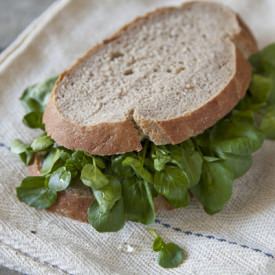 Watercress Sarnie - Recipe photo by Regula Ysewijn Foodwise