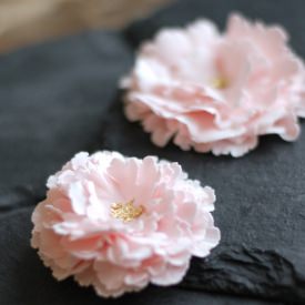 Fondant Carnations - Recipe photo by copenhagencakes