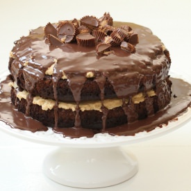 Chocolate Peanut Butter Cake - Recipe photo by satisfymysweettooth