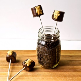 Teddy Graham S'more Pops - Recipe photo by tastesoflizzyt