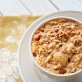 Cheesy Chicken Chili - Recipe photo by lollyjane