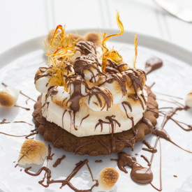 S'more Dessert - Recipe photo by Stasty