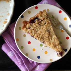 Blueberry Crumb Bars - Recipe photo by Gracie139