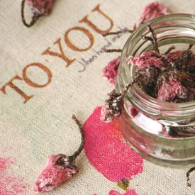 Homemade Sakura - Recipe photo by Tadeja