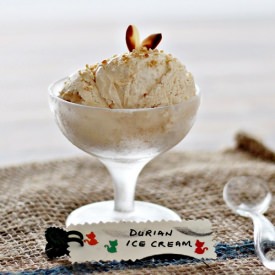 Durian Ice Cream - Recipe photo by Anncoo