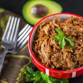 BBQ Pulled Pork - Recipe photo by FreeRange Human