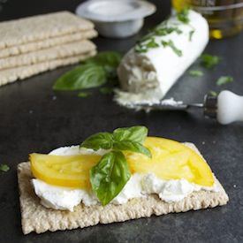 Greek Yogurt Cheese - Recipe photo by taste love &amp; nourish